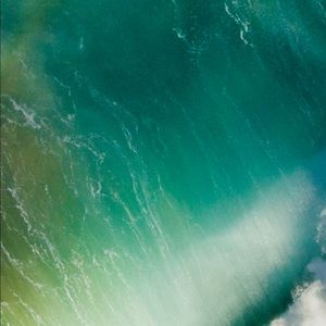 Meet your Posher, Abraham